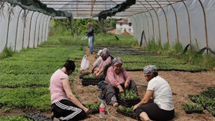 Kocaeli'den yüzde 75 hibeli tarım desteği