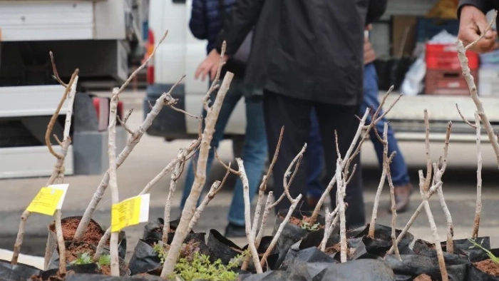 Konya'da kırsala 'Antep Fıstığı' desteği