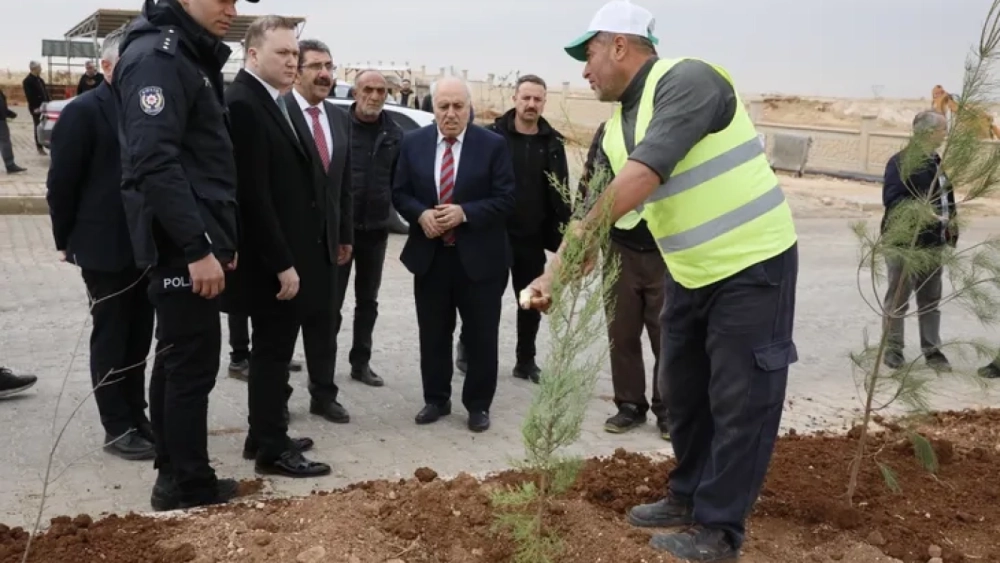 Mardin Yeşilli OSB ağaç dikimi